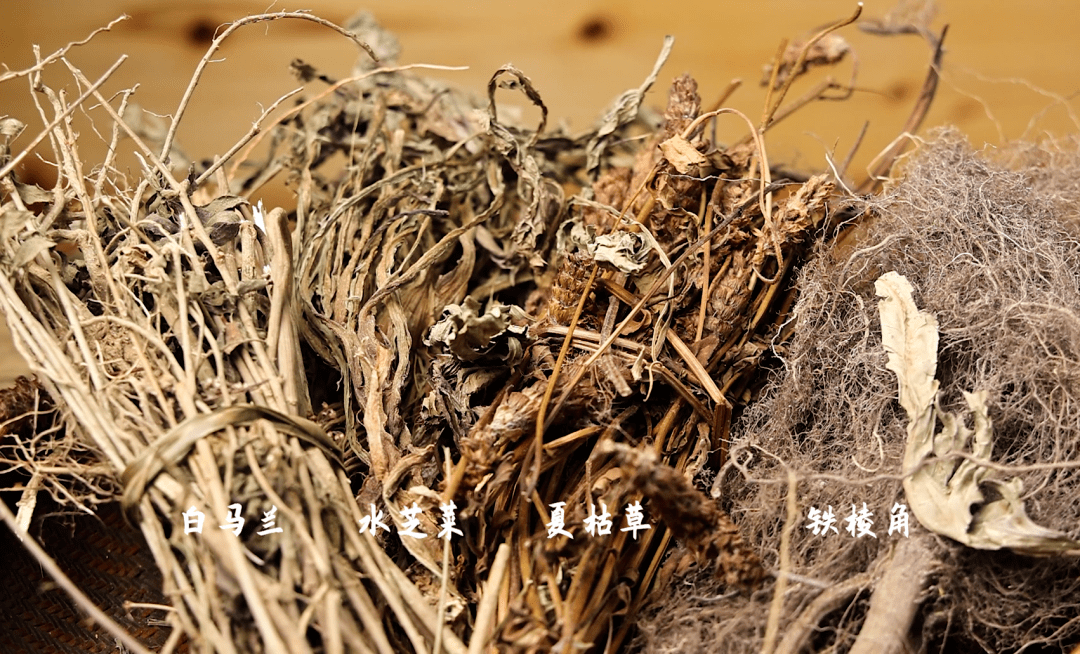 不妨试试屏南药膳——寒草粉干_止咳_中草药_特色