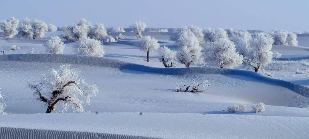 2022·内蒙古冰雪旅游季 | “最美霎时”阿拉善旅拍大赛邀您参与~