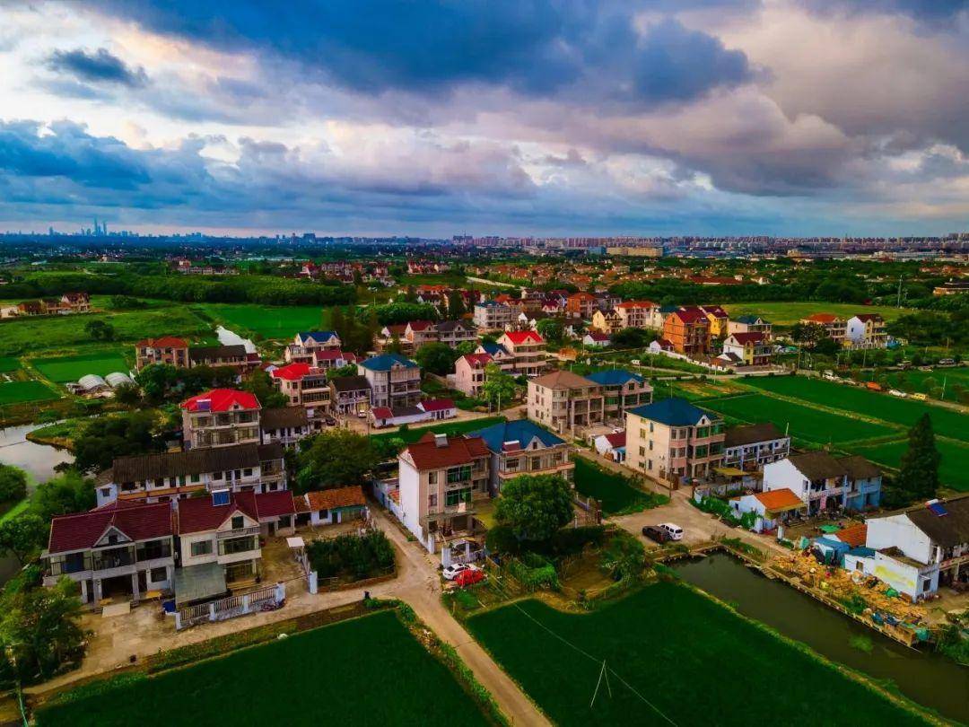 【学习贯彻党的二十大精神 引领区新征程】航头镇:实干创新,突破跨越