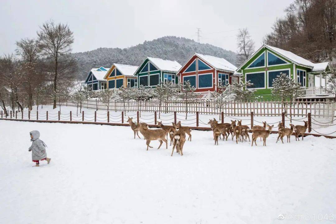 大唐鹿野苑冰雪狂欢即将开启~_旬邑_滑雪_儿童