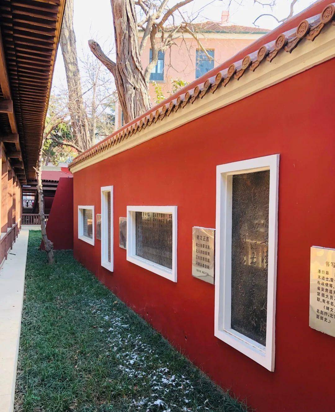 我喜欢一种红,叫青岛的"故宫红"_红墙_中国_城市