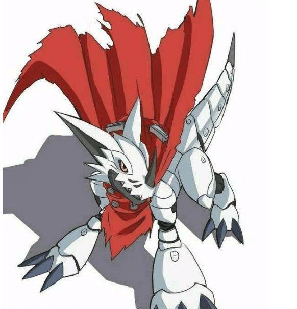 其实修女兽姐妹的训练也很艰苦,因此汉克兽学的多.