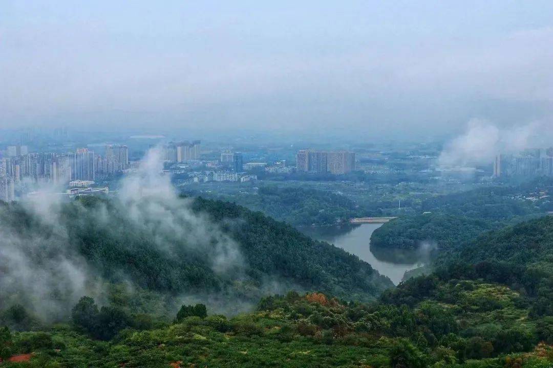 余姚龙泉山简介图片