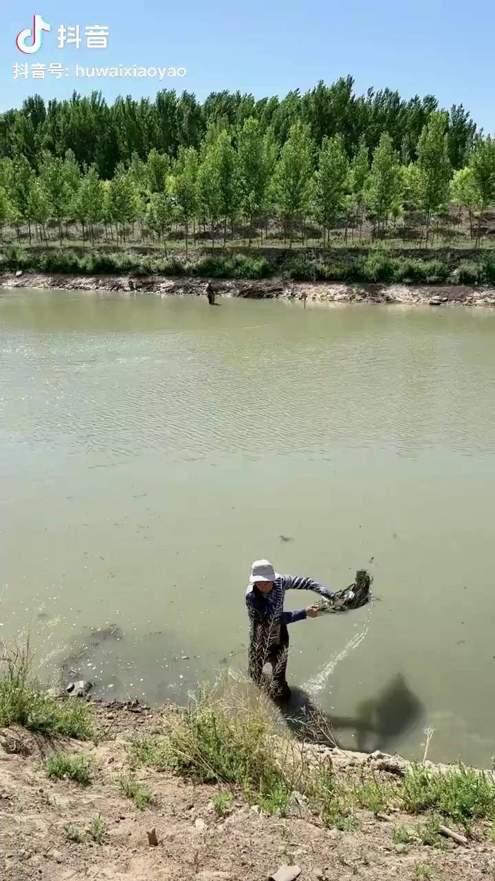 感谢朋友们的支持我要上热门 撒网教学视频 撒鱼网教学 抬网 撒网姿势