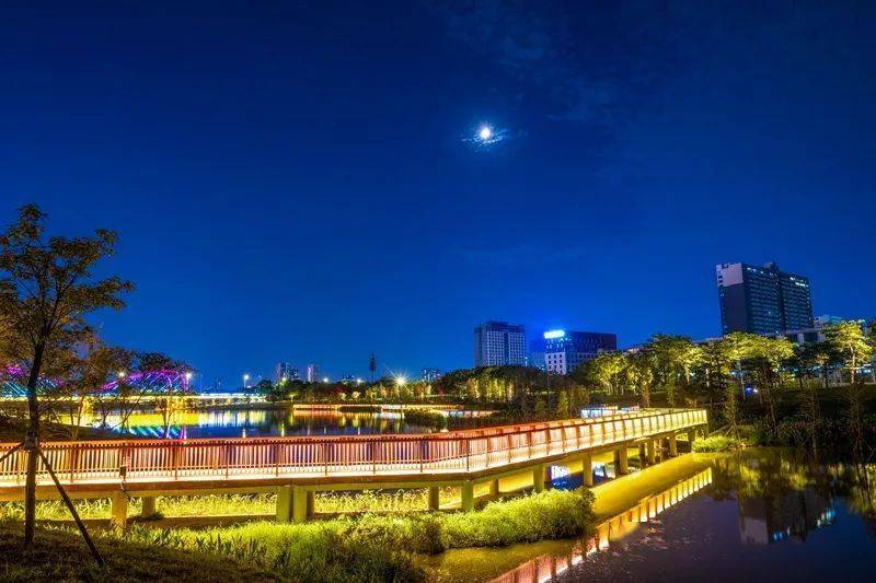 【走进心圩江】超乎想像的美!