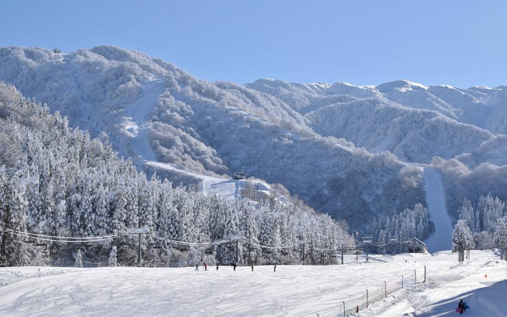 距离日本新潟市最近的滑雪场.位于二王子岳的西坡,海拔1421米.