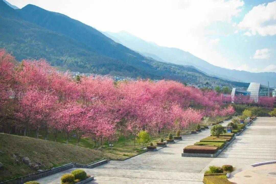 大理大学春夏秋冬图片