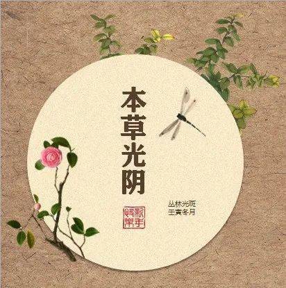 本草光阴｜三年级上评语