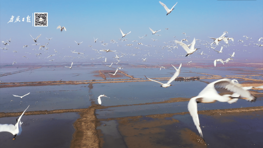 汈汊湖湿地公园图片