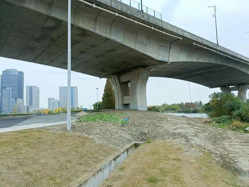 高地联动凝合力,高速桥下旧容换新颜_整治_执法_空间