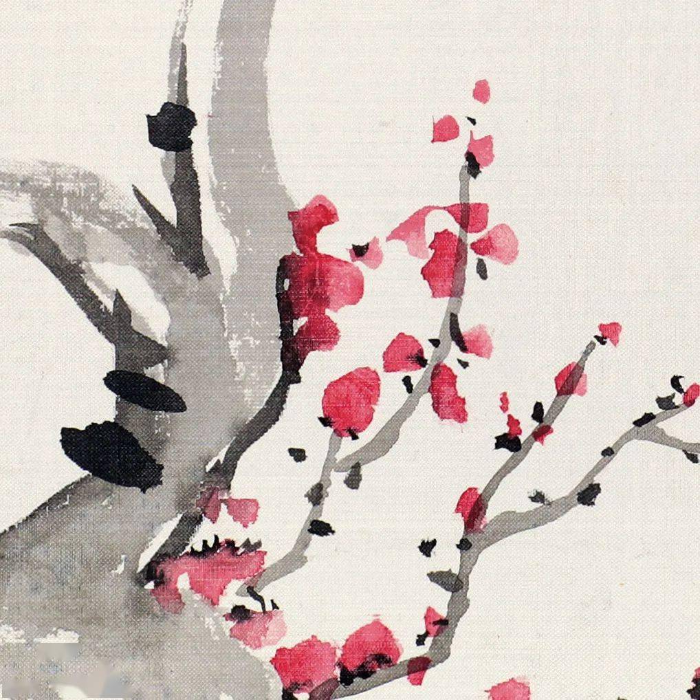 张大千的恩师写梅,清爽至极_梅花_图册_cm