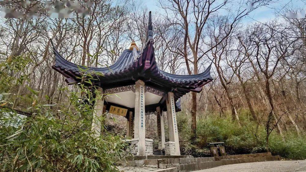 有两株名贵的玉蕊仙花只有皇帝的御花园和翰林院地允许植种是稀世奇葩