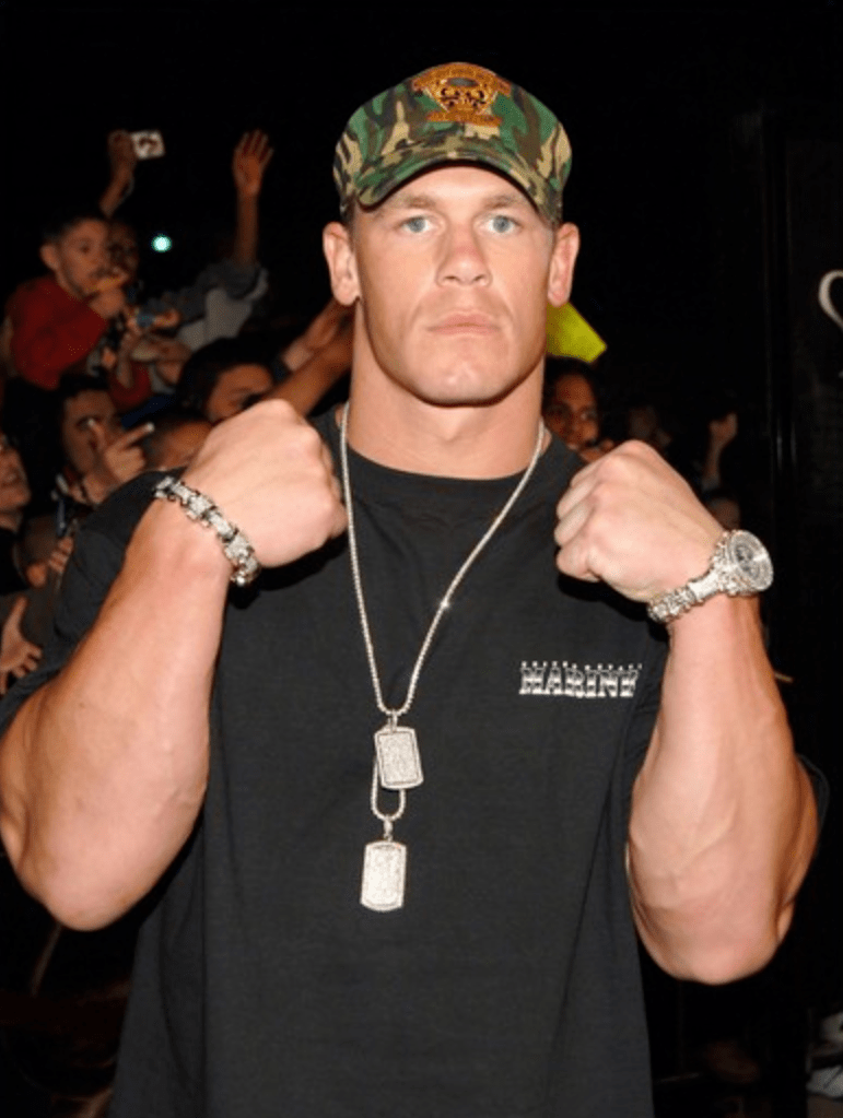 史蒂夫·奥斯汀(才2500万美元,有点少吧.