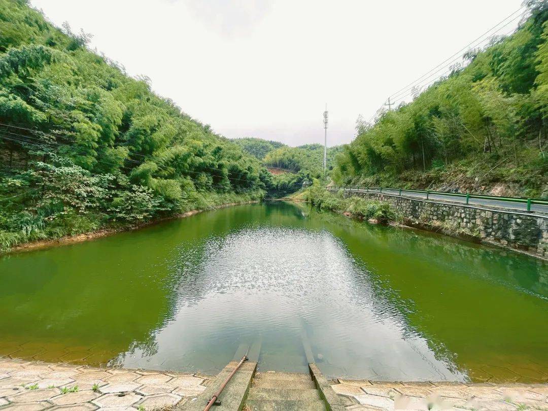 喜讯| 百丈镇仙岩村被评为年度省级"森林氧吧"!_东山_空气_古道