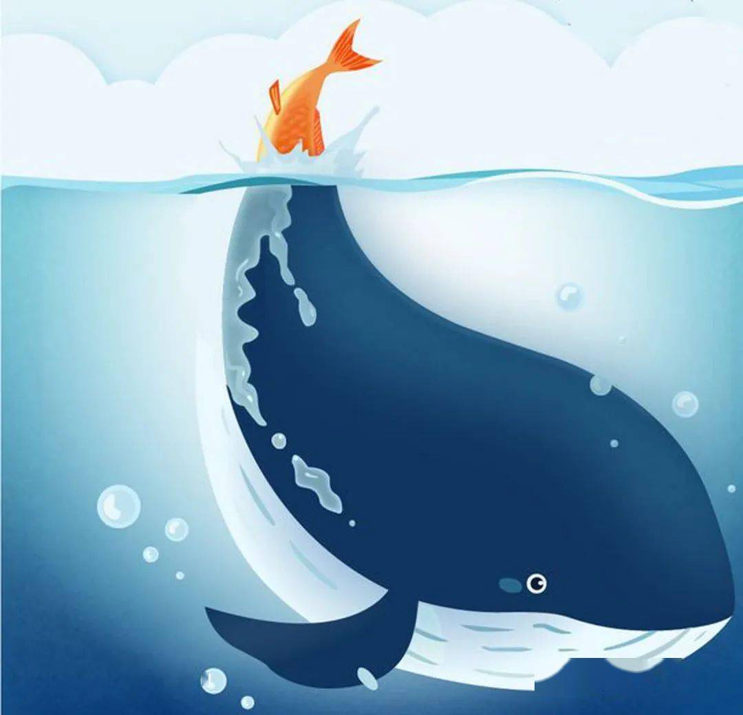 eat no fish不是不吃鱼,真实意思挠破头皮你想不到!_he_to_例句