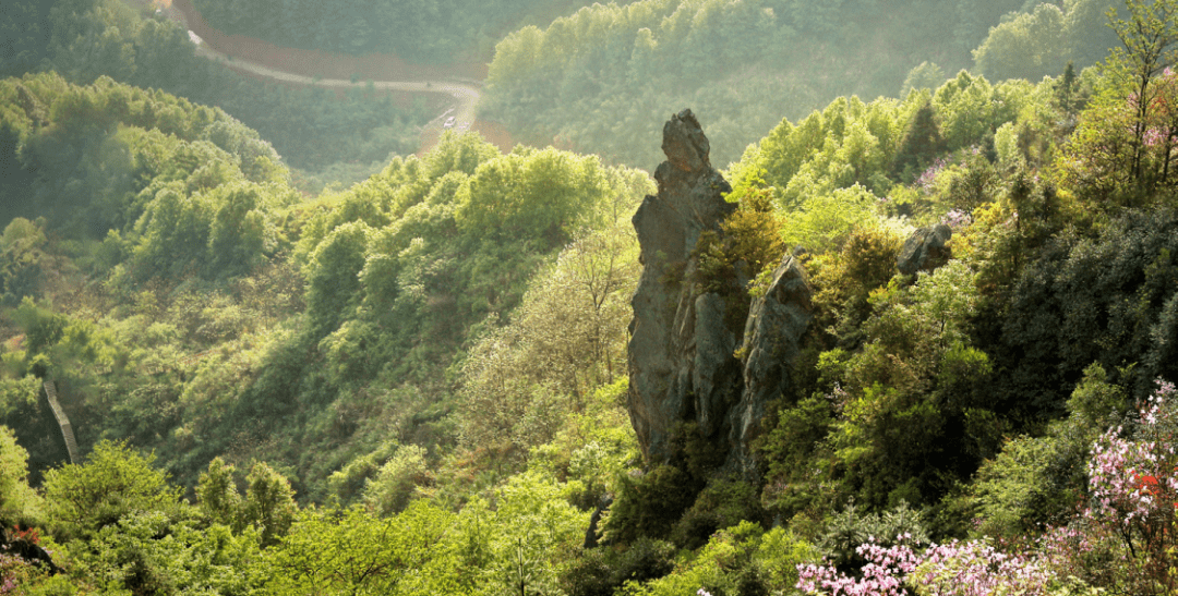 信丰旅游景点大全图片