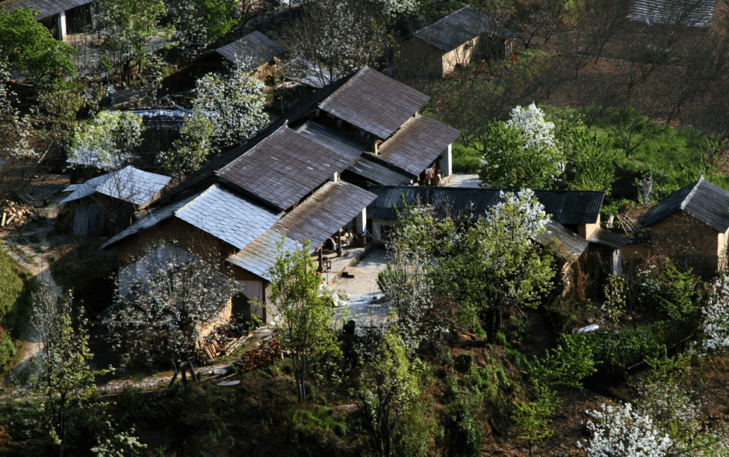 景东黄草岭的景色图片