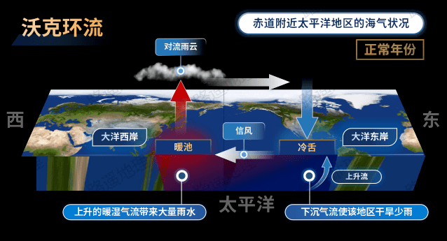 【高考热点】林线&林线倒置,沃克环流&厄尔尼诺&拉