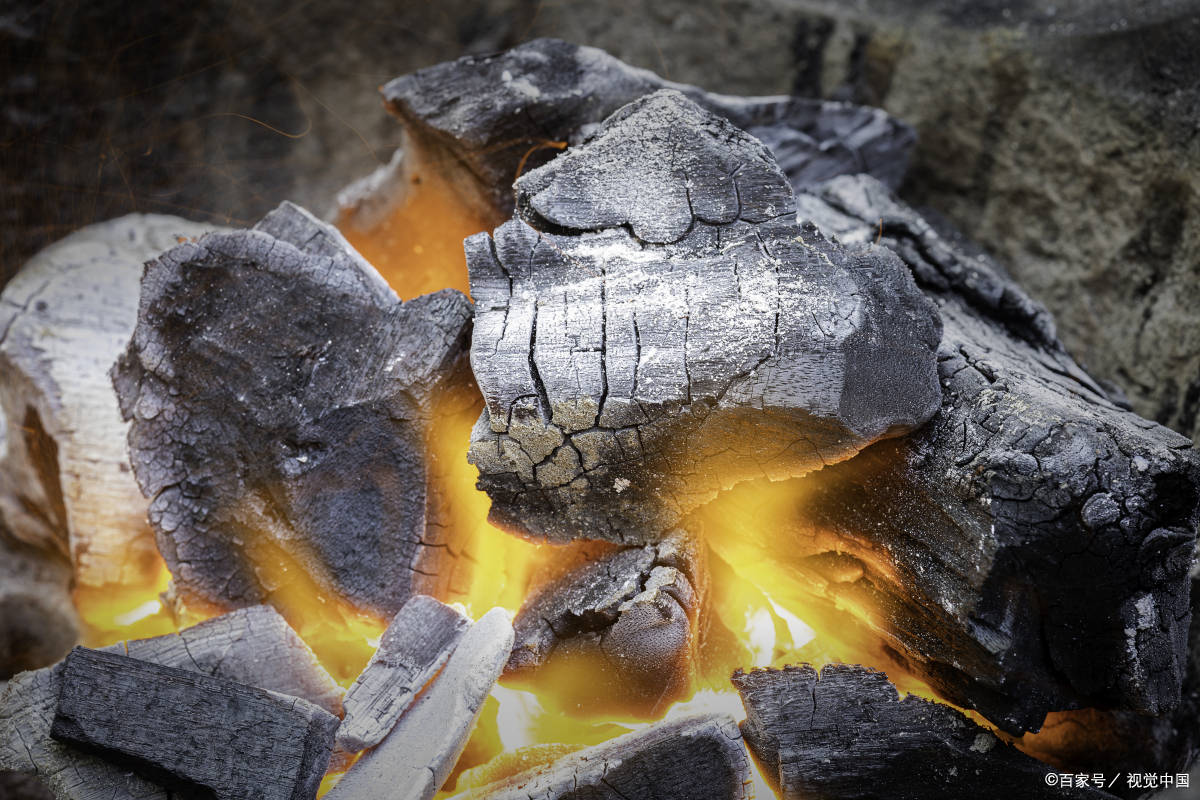 天然的固体化石燃料——煤_燃烧_烟煤_含碳量