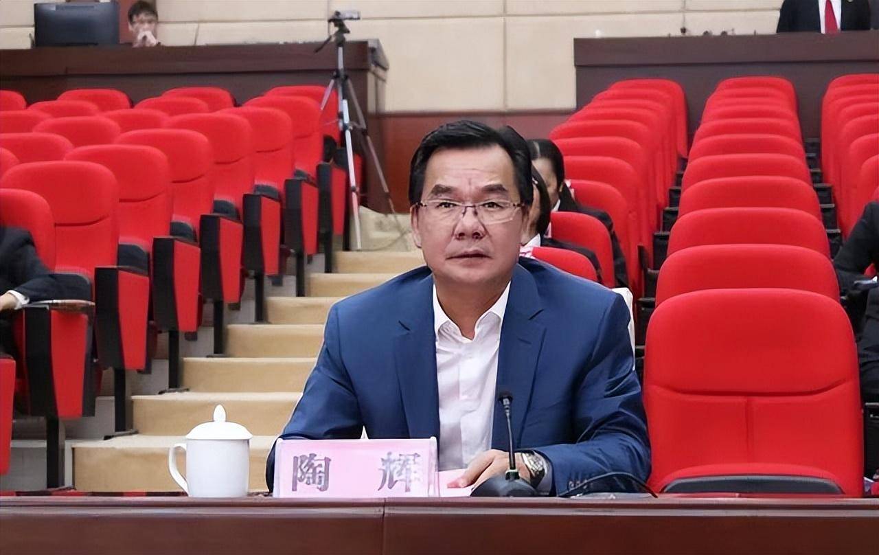 广西崇左市委原常委,政法委原书记陶辉严重违纪违法被开除党籍和公职