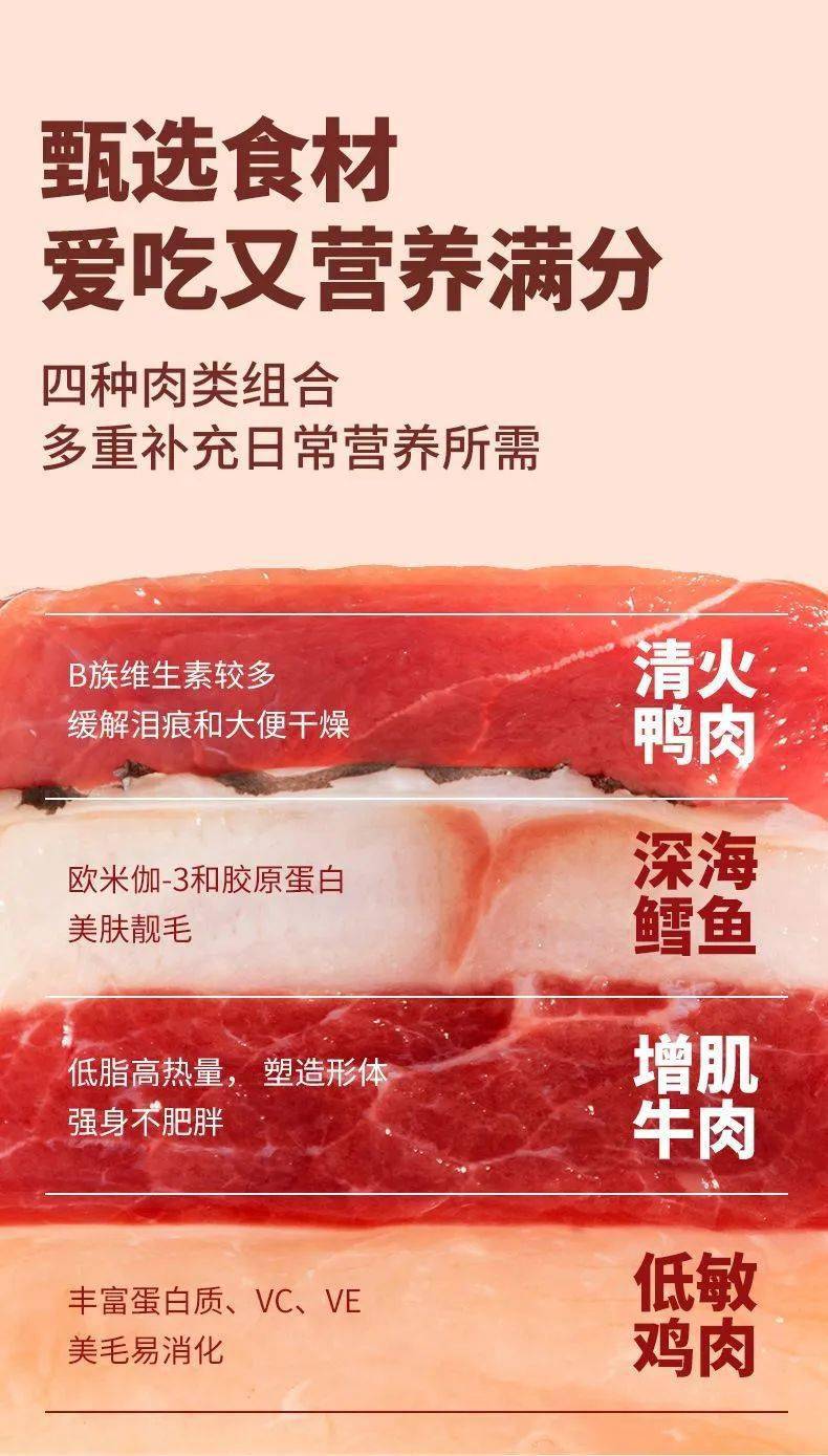 边牧：疯狂的小狗疯狂的我，只因…