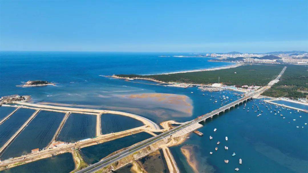 7.3平方公里蓝色海湾整治行动完美收官_双岛_养殖_海洋