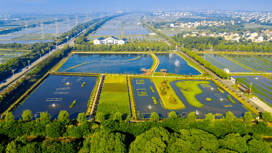 七都镇紧抓农业面源排污口整治,推动水产养殖绿色高质量可持续发展