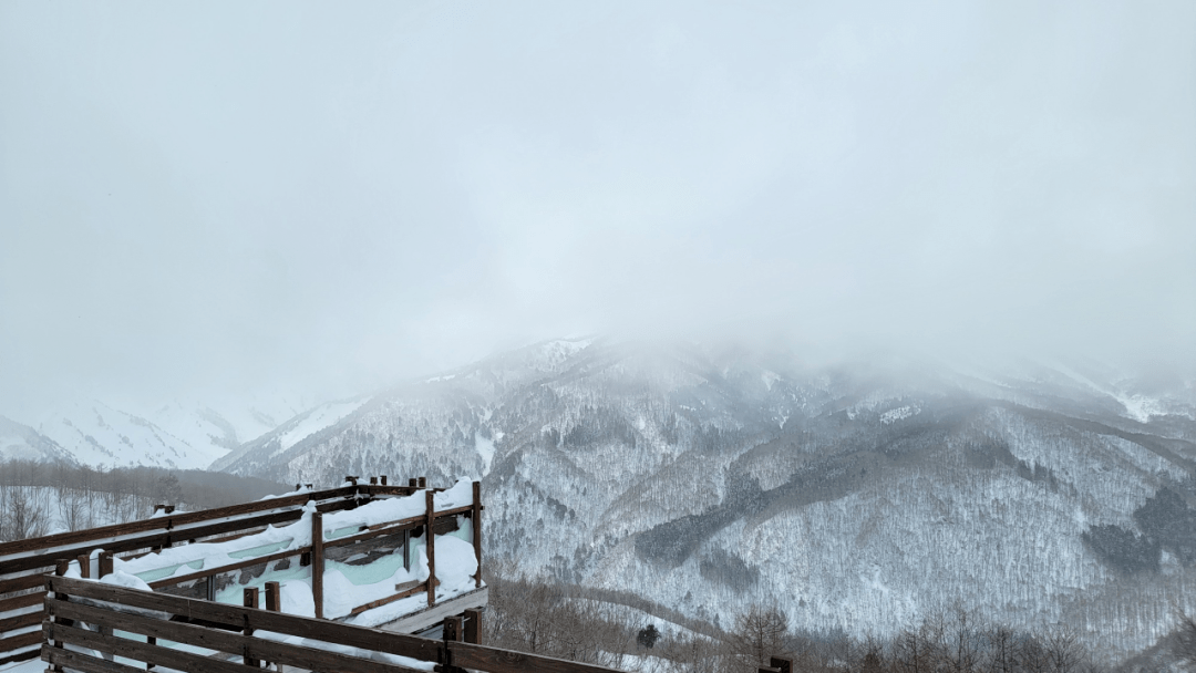 看這一篇就夠啦!_滑雪_札幌市_小樽