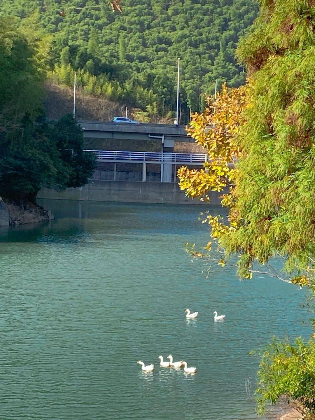 鱼石岭水库镶嵌在百丈镇石竹园村内,水库碧绿澄澈,形成山水相依,山环