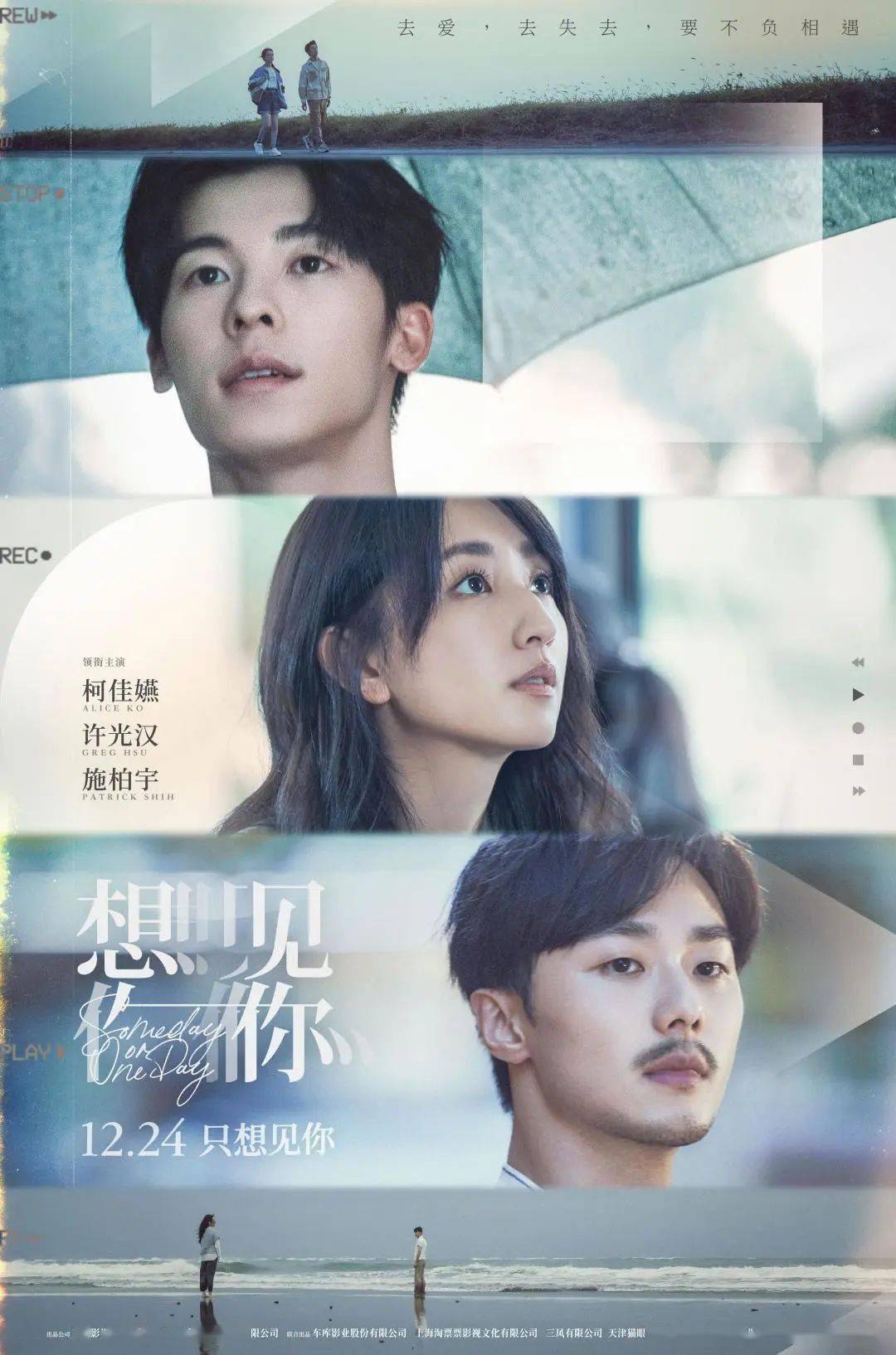 温暖开场!这个元旦,你最想看哪部?_搜狐网