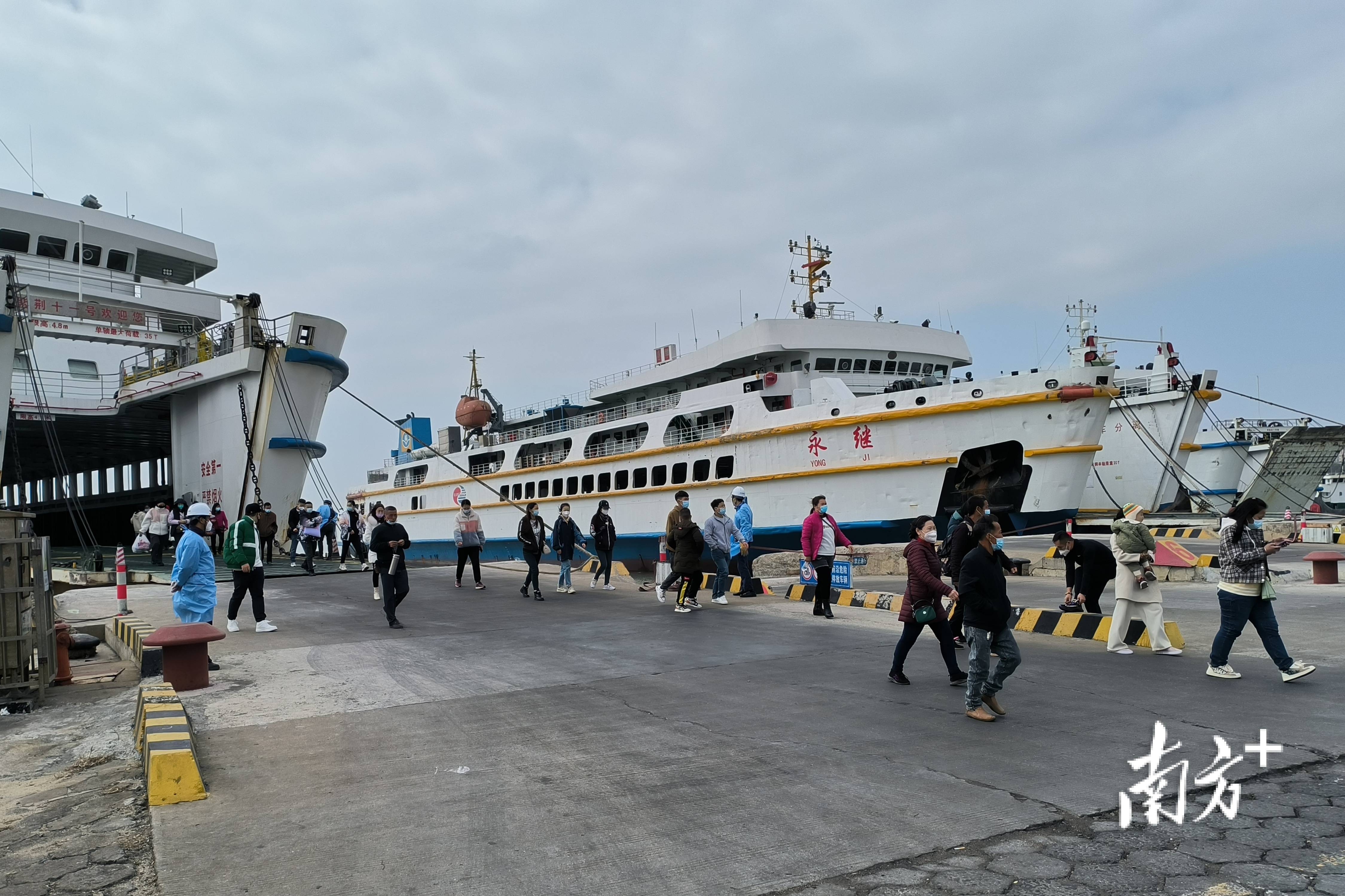 元旦海南游有多热？琼州海峡客流量近17万人次，同比增长77%_湛江_船舶_监管