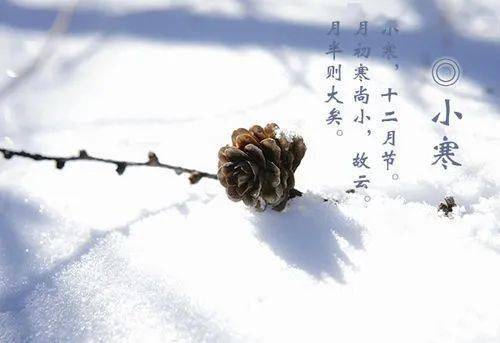 小寒 | 开始进入一年中最寒冷的日子_手机搜狐网