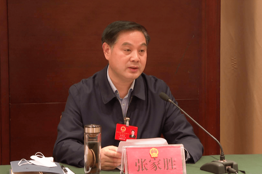 黄冈"两会" | 张家胜参加红安代表团审议_新发展_红色_建设