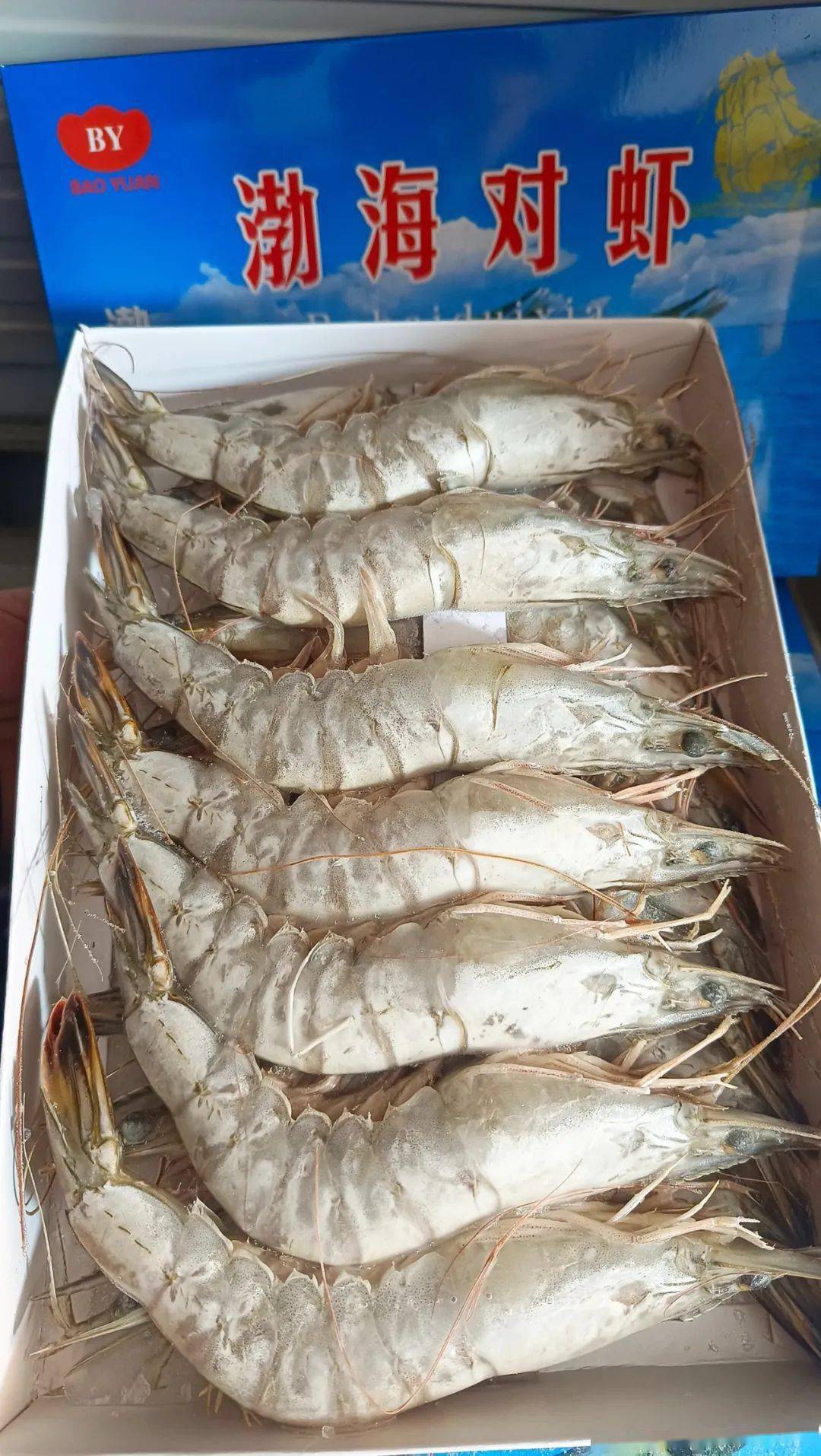 渤海湾大虾,正宗本地货;肉质鲜甜,年夜饭必备!新的一年,红红火火!