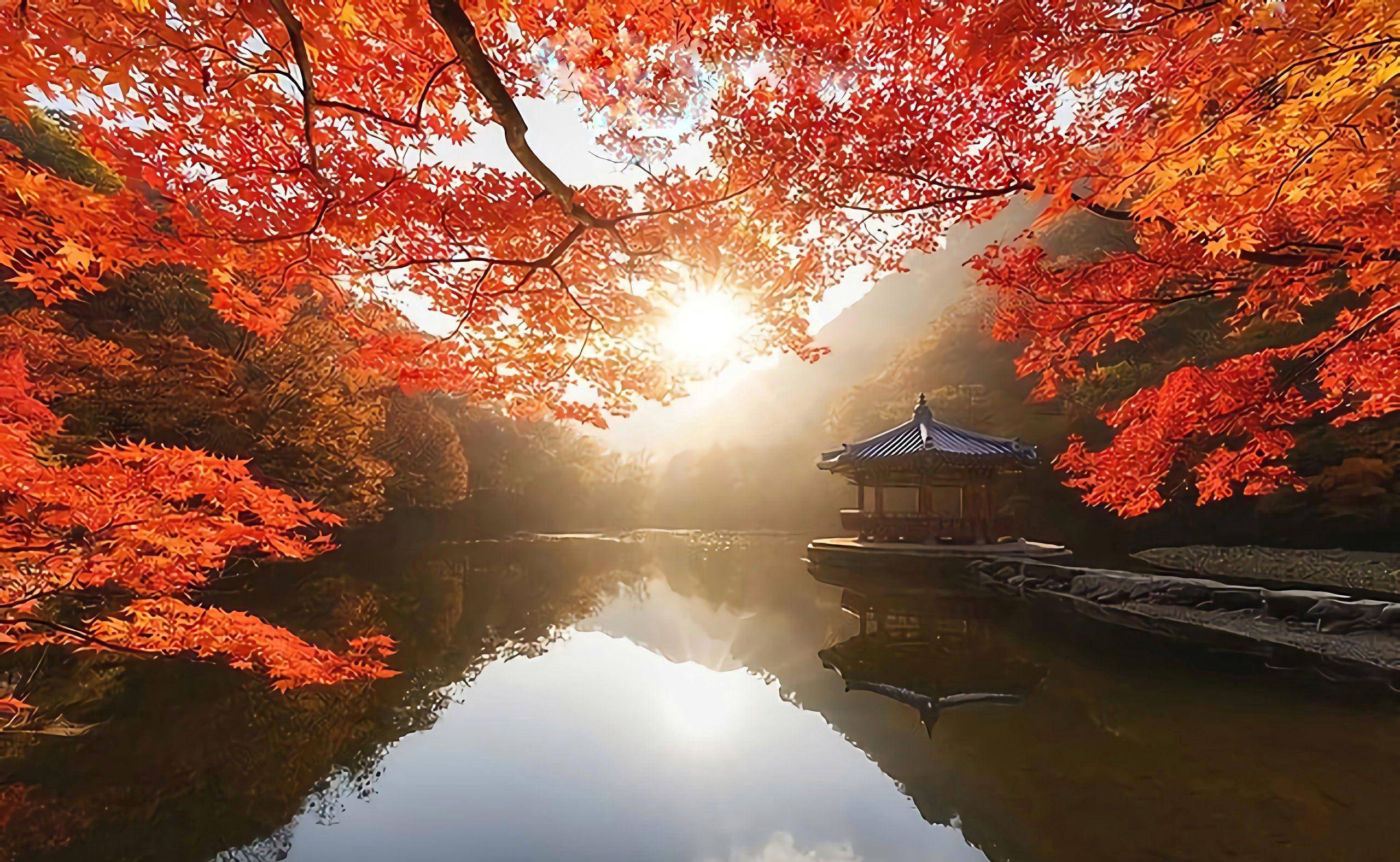 风光拍出冲击力,6个风景摄影技巧,好学好记又好用_画面_照片_线条