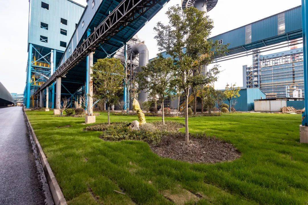 原料车间着力打造"花园式工厂"精益样板点_管理_生产_工作