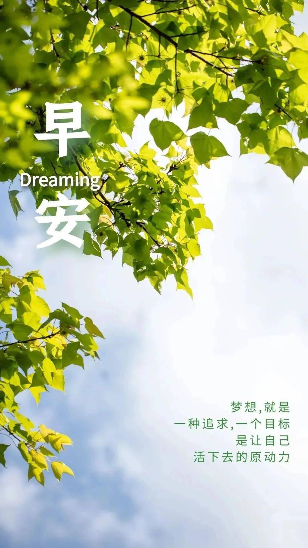 微信每日一句激励的话 2023最新早安心语正能量很火的简单语录海报