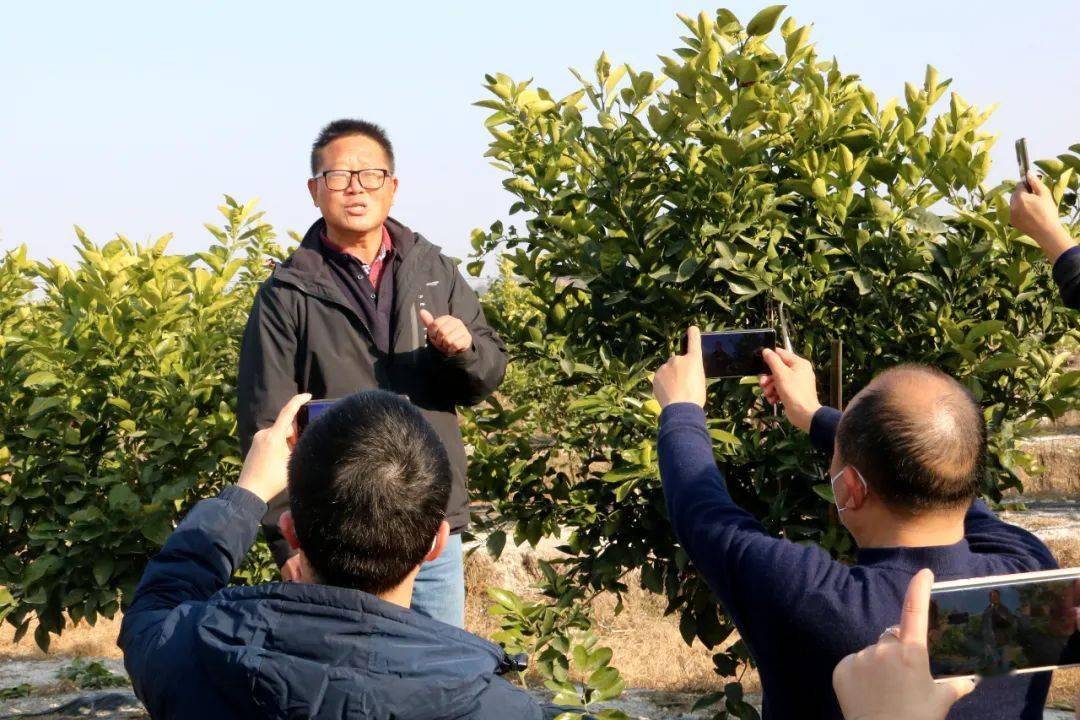 李树举教授介绍黄金西柚临澧一中引进高级教师杨述德老师(中)视员工为