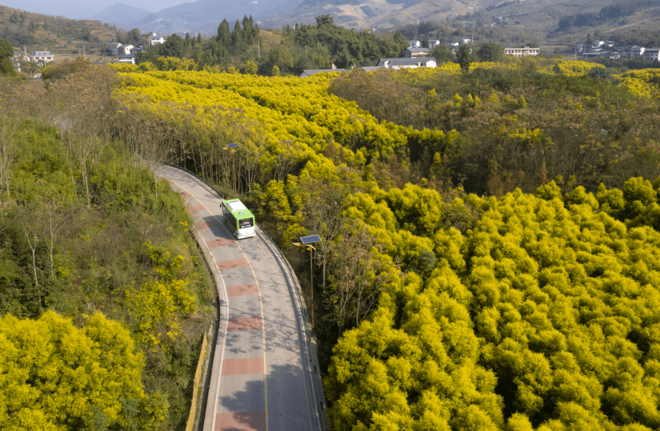 北碚这条路成了重庆市"最美农村路"_三金_公路_乡村旅游