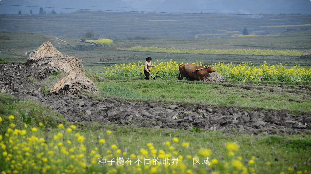 内心的小城，是我们的来处，也是面对世界的出口