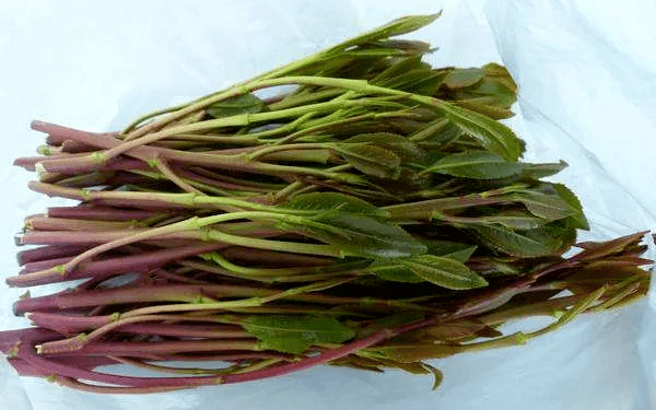 但它竟然是毒品!_也门_种植_禁毒