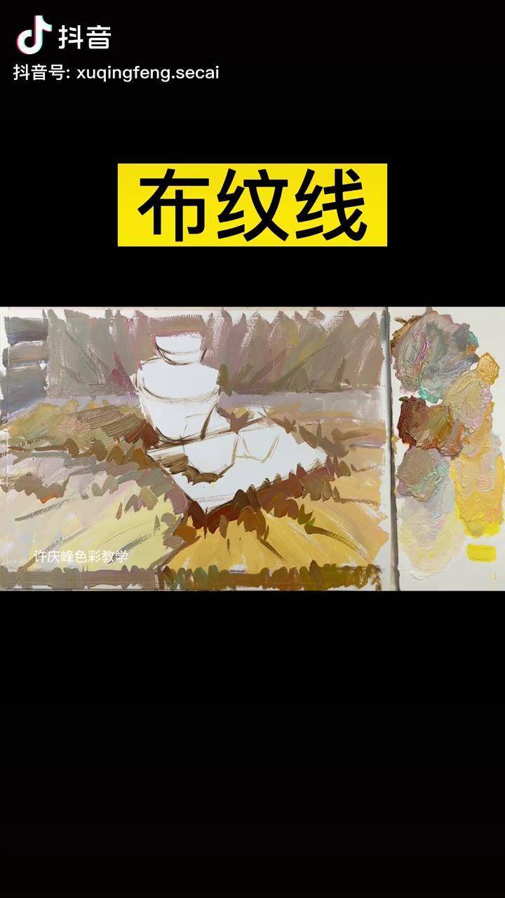 色彩布纹线的画法美术生 色彩静物美术老师画画