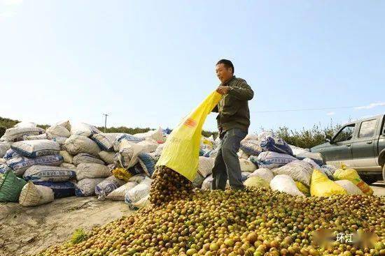 毛华慧表示,未来,环江将充分发挥广西第三林业大县的优势,依托河池市