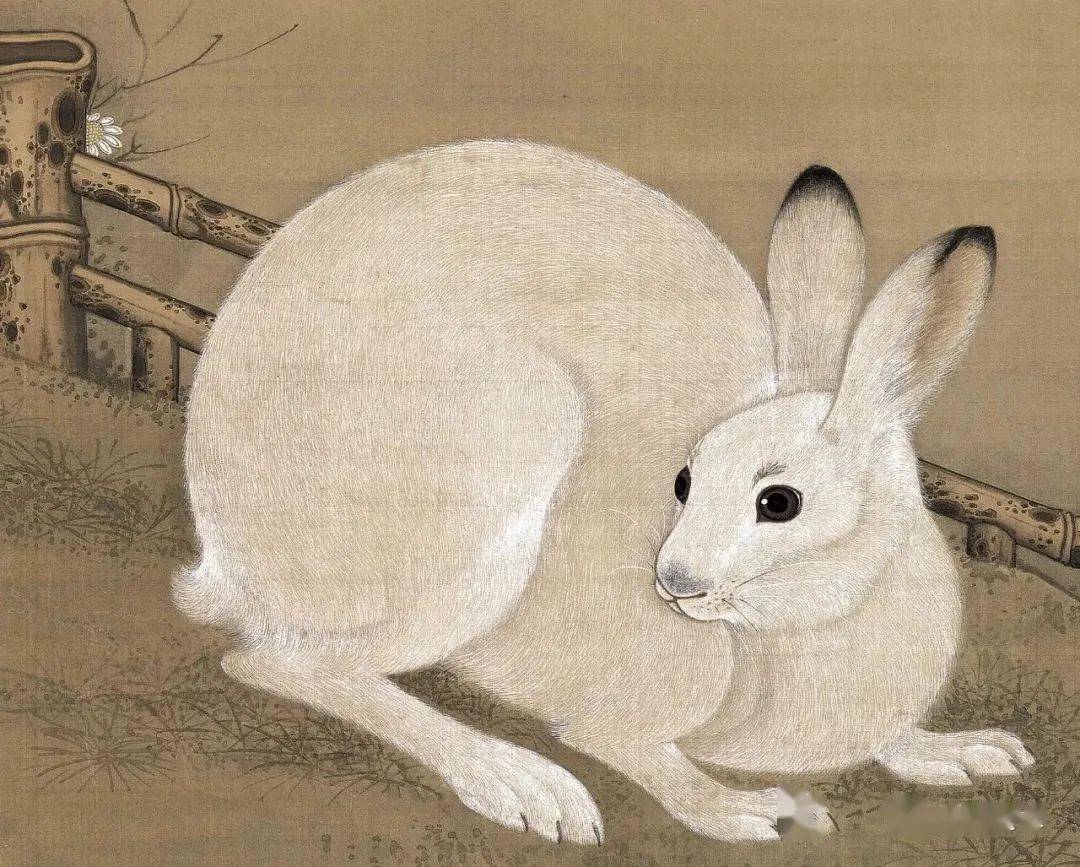 月中桂兔图 清 蒋薄桂花月兔扇 清 李世倬双喜图 宋 崔白玉兔小鸟图卷