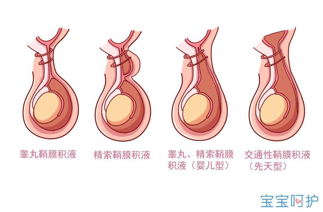 来自搜狐网