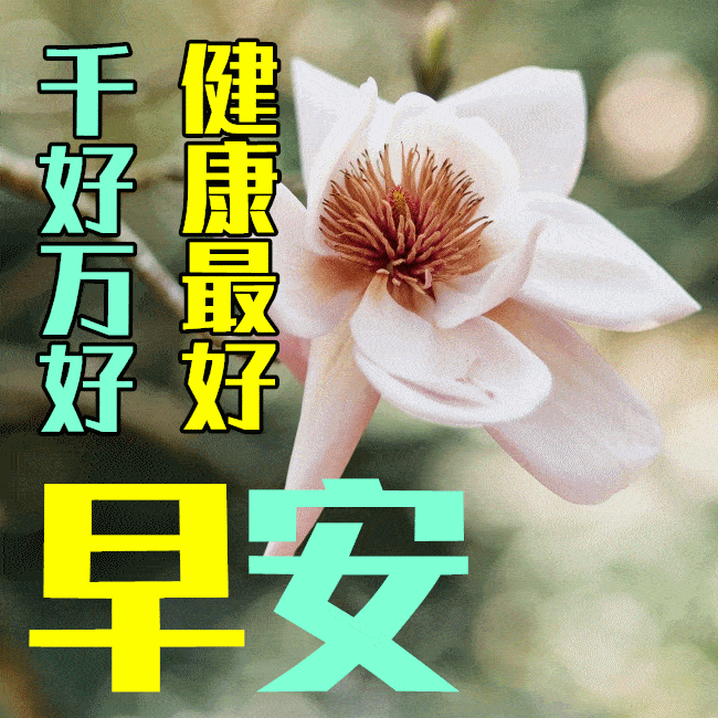 1月15日最漂亮早上好动态表情图片大全,早晨好动图美图大全_祝福_手机
