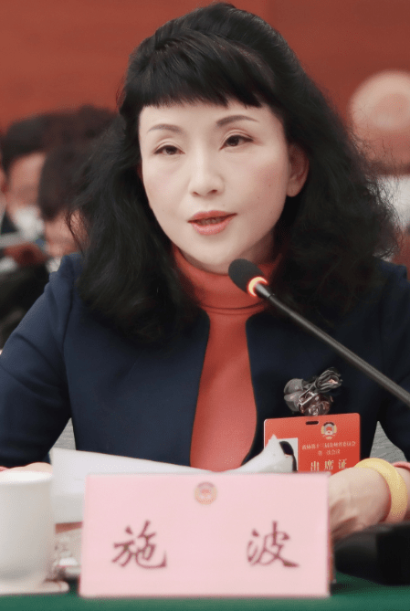 施波委员:着力推动“两个健康” 提振民企发展信心_能源_政策_预期