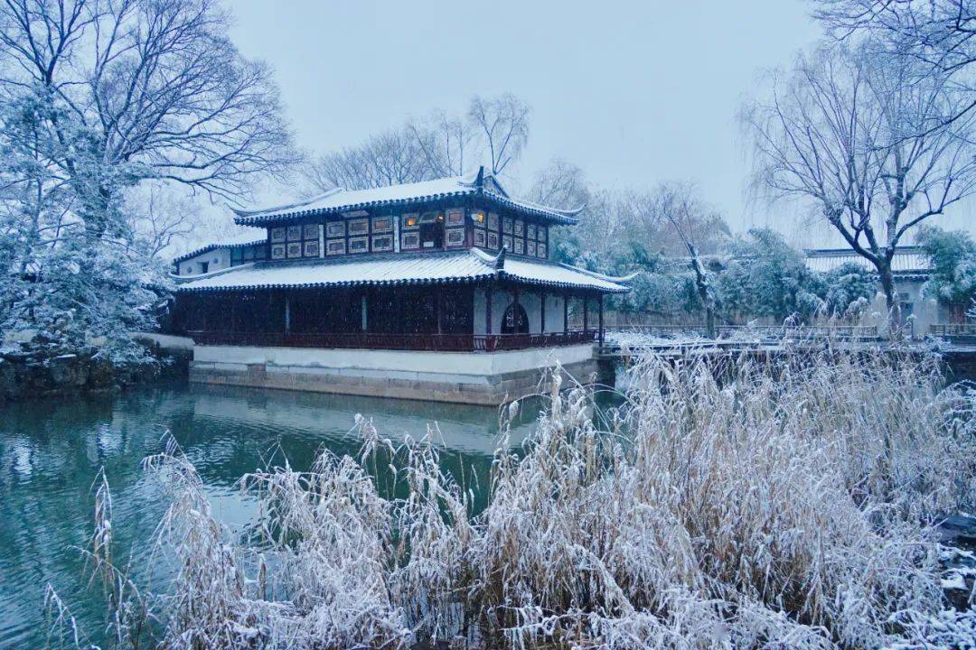 苏州拙政园雪景图片