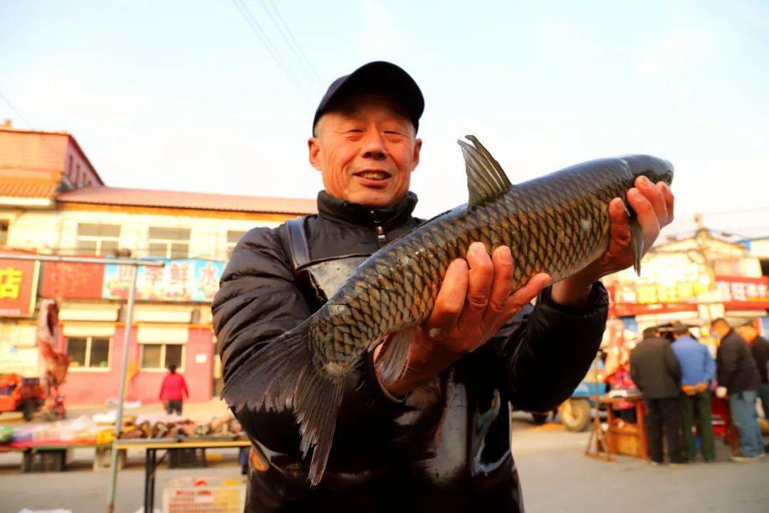 济阳大集图片