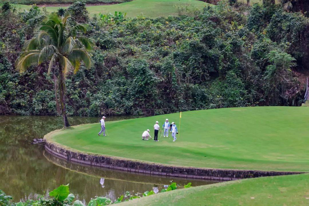 海南保亭第一届"红毛丹"杯明星企业家高尔夫邀请赛成功举办_旅游_活动